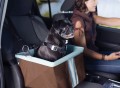 Portsmouth Booster Seat for Dogs