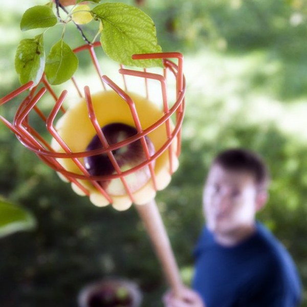 Tree Fruit Picker