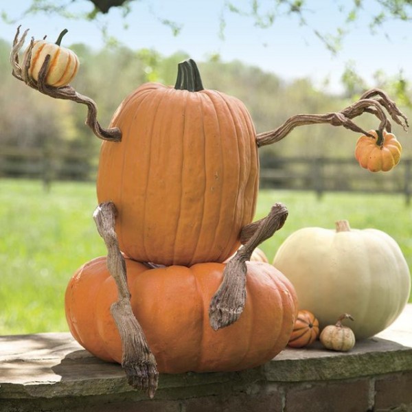 Halloween Pumpkin Arms & Legs