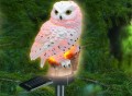 Solar Owl Light