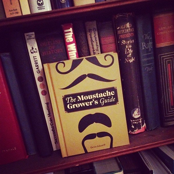 The Moustache Grower’s Guide