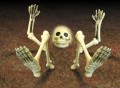 Restless Bones Halloween Decoration