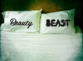 Beauty and Beast Pillowcases