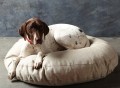 Embroidered French Linen Dog Bed