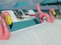 Flamingo Towel Clips