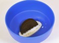 Cookie Dunkr Cup