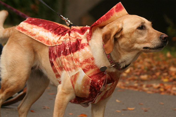 Bacon Dog Costume