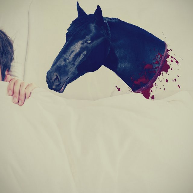 Horse Head Pillow Case