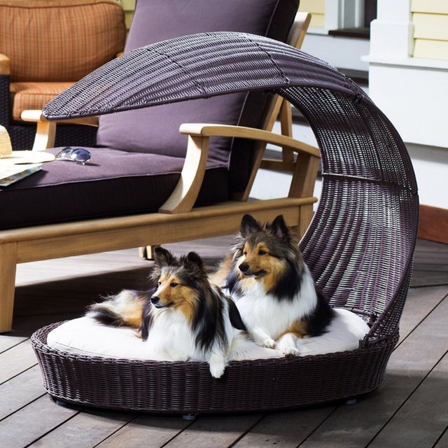 Outdoor Dog Chaise Lounger