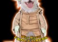Star Wars Yoda Pet Costume