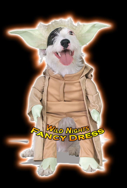 Star Wars Yoda Pet Costume