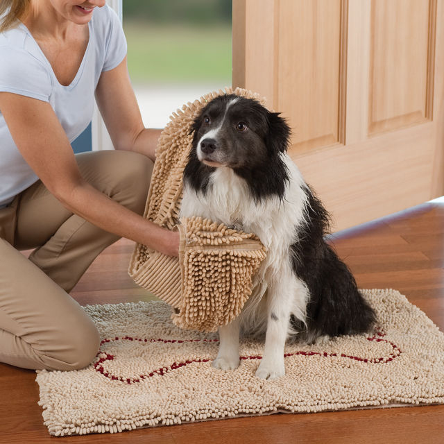 Soggy Doggy Door Mat