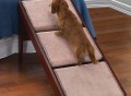 Pet Ramp And Staircase