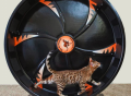 Cat Exercise Wheel