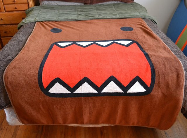 Domo Blanket