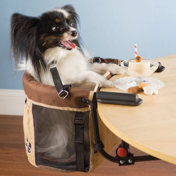 Pet High Chair