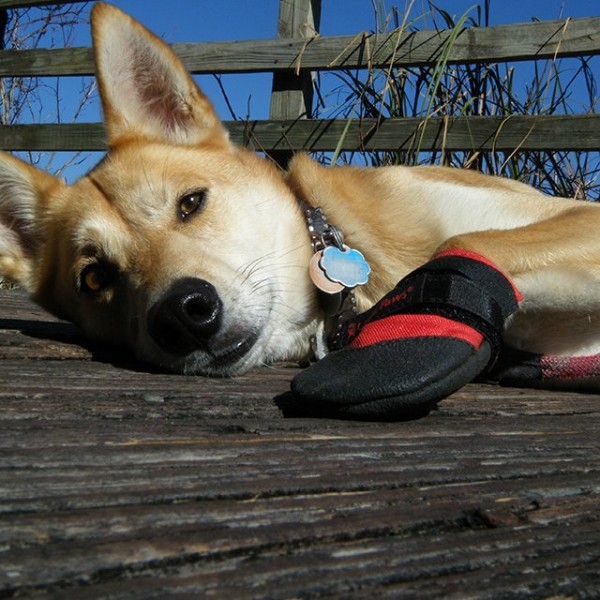 Ultra Paws Rugged Dog Boots