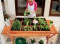 Organic Garden Table