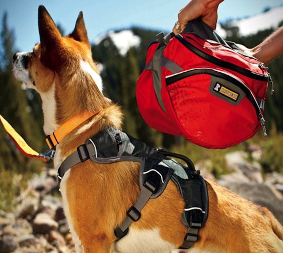 Ruffwear Dog Packs