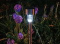 LED Solar Lawn Lamp