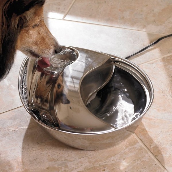 Raindrop Pet Fountain