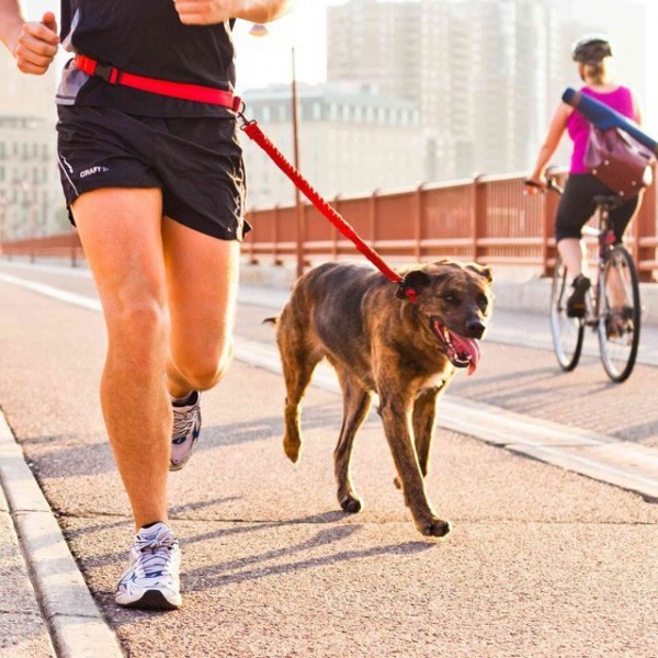 Stunt Runner Hands-Free Leash