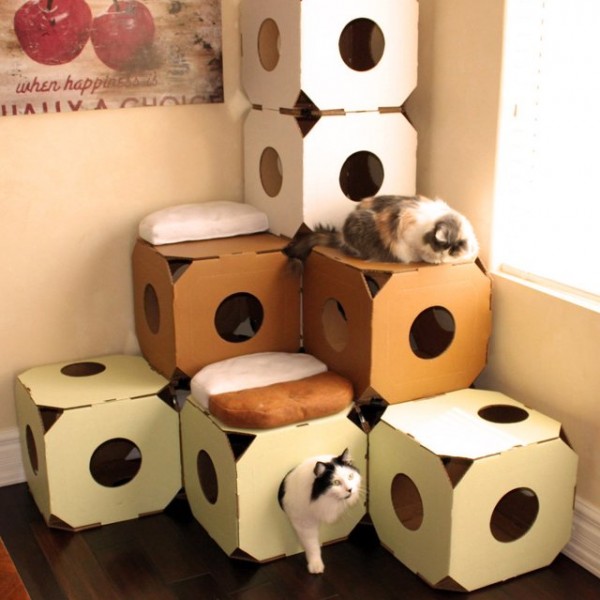 Modular Cat Condos