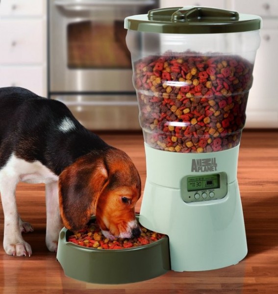 Electronic Pet Feeder