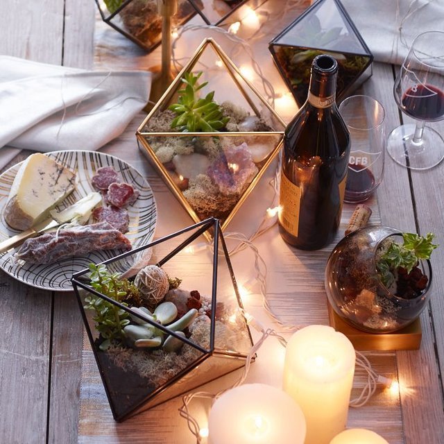 Faceted Terrariums