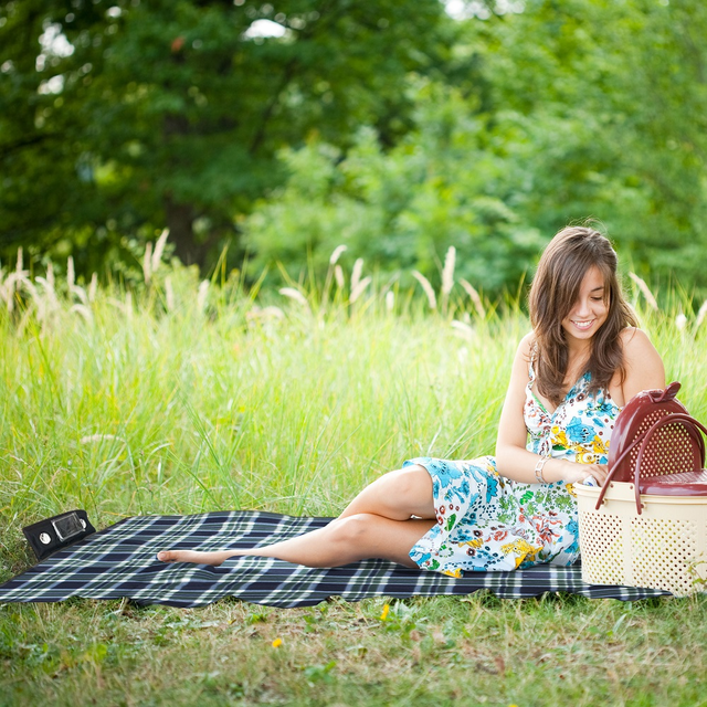 Medley in the Meadow Speaker Blanket