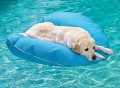 Pet Pool & Deck Lounger