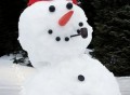 Dress Your Own Snowman Kit