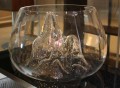 Glasscape Fishbowl