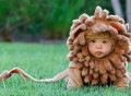 Unisex Baby Lion Costume