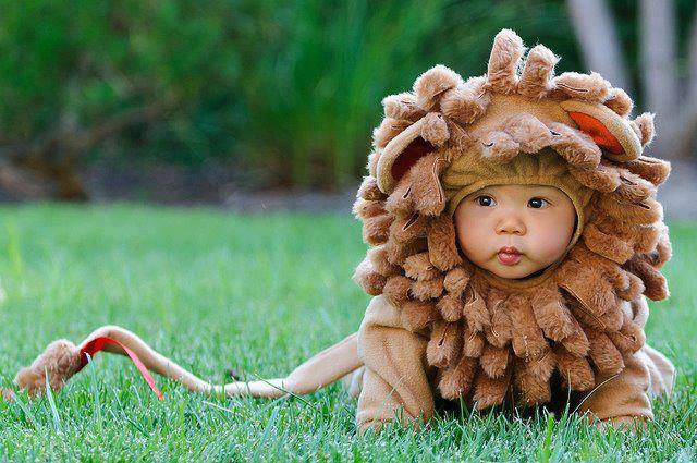 baby lion costume