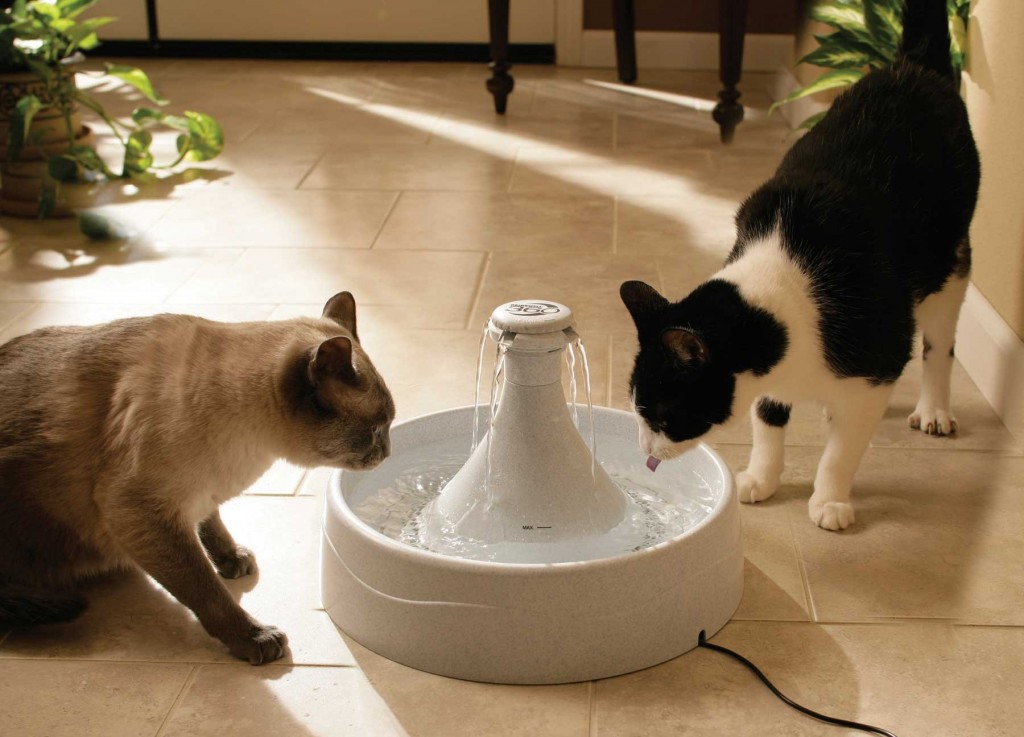 Drinkwell 360 Pet Fountain