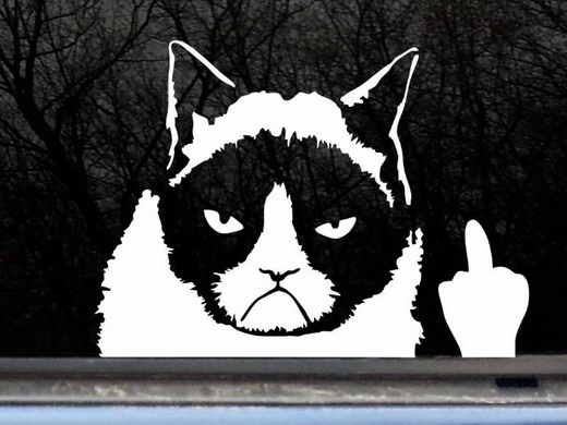 Grumpy Cat Finger Car Decal