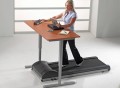 LifeSpan Treadmill Desk