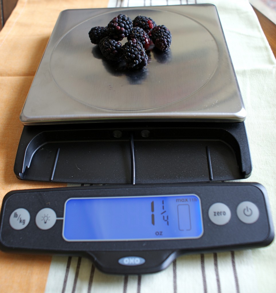 OXO Food Scale