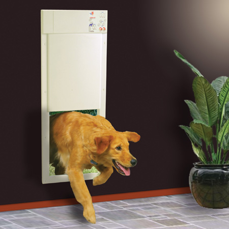 Electronic Pet Door