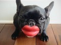 Dog Lips Toy
