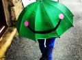 Frog Umbrella