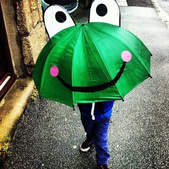 Frog Umbrella