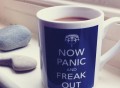 Now Panic & Freak Out Mug