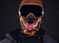 Beardo Rottweiler Ski Mask
