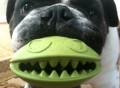 Monster Mouth Dog Treat Toy