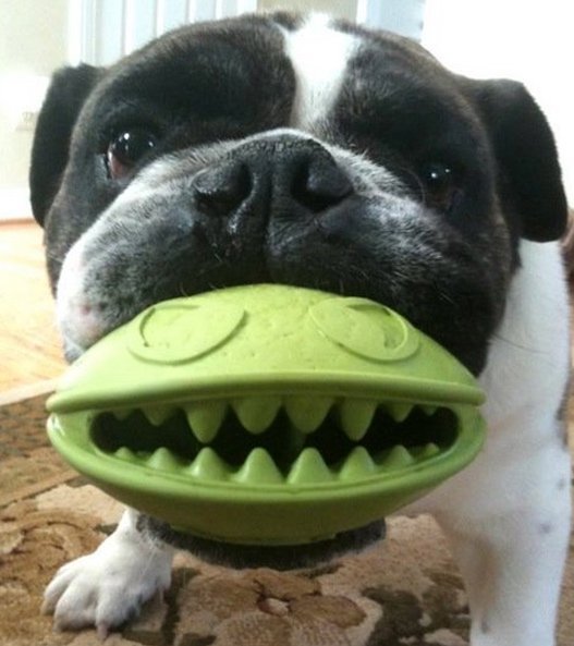 Monster Mouth Dog Treat Toy