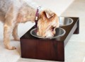 PetFusion Elevated Pet Feeder in Solid Wood