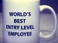 World’s Best Entry Level Employ