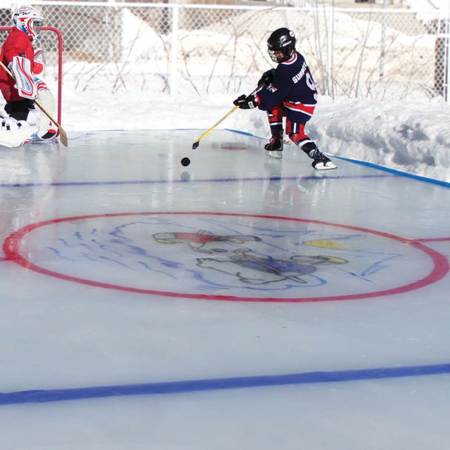 Backyard Ice Rink